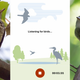 Illustration for article titled New Shazam for Birds Will Identify That Chirping for You